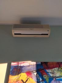 condizionatore e deumidificatore Hitachi