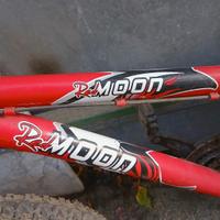 bicicletta bambino