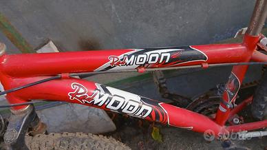 bicicletta bambino