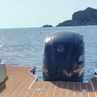 Mercury F115 - con c.a. 250 ore di moto