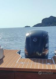 Mercury F115 - con c.a. 250 ore di moto