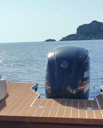 Mercury F115 - con c.a. 250 ore di moto