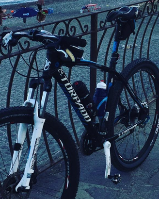 MTB TORPADO 29ER