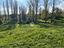 Immagine 19