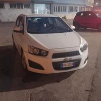 tenuta in buone condizioni adatta anche per i neop