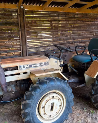 Trattore Pasquali 439