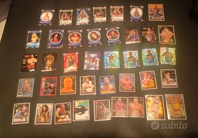 Lotto carte e stickers WWE