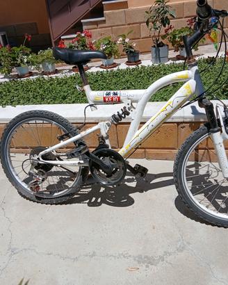bici 20 