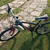Bicicletta da ragazzo