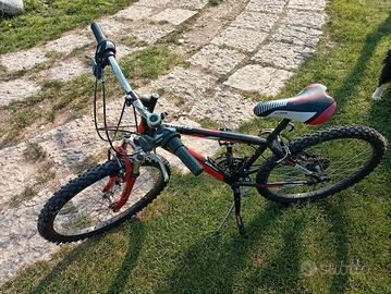 Bicicletta da ragazzo