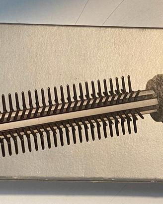 spazzola elettrica, piastra ceramica per capelli