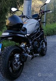 Benelli Leoncino 800 