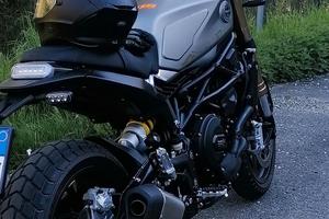 Benelli Leoncino 800 