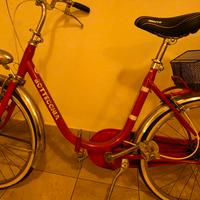 Bici Bottecchia pieghevole vintage