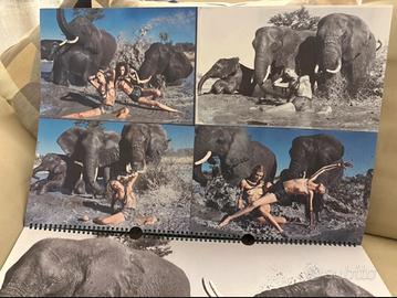 Calendario Pirelli 2009 by Peter Beard