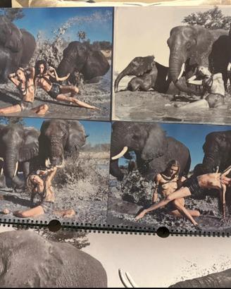 Calendario Pirelli 2009 by Peter Beard