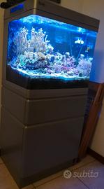 acquario marino red sea