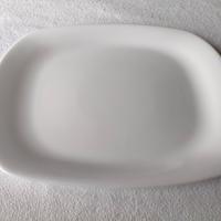 Piatti rettangolari 28x20 cm