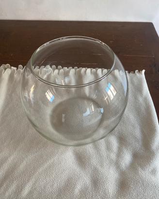 Boccia vetro per pesci