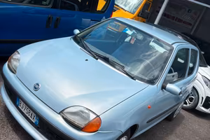 Fiat Seicento 900i cat Young