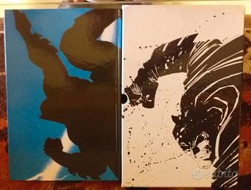 Batman Il Cavaliere Oscuro - DC Absolute