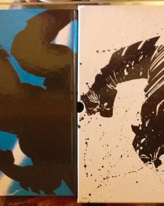 Batman Il Cavaliere Oscuro - DC Absolute