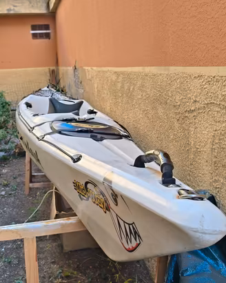 kayak 