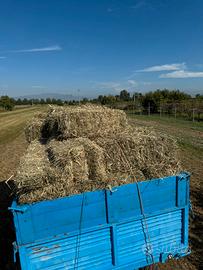 Ballette fieno 15/20 kg