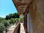 Immagine 7