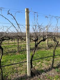 pali cemento  9x9  3metri   1€/pz.