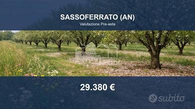 Immobile in asta di 44008 m² a Sassoferrato