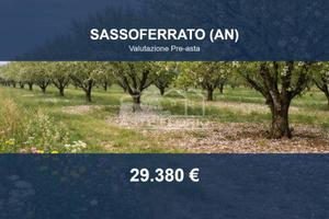 Immobile in asta di 44008 m² a Sassoferrato