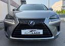 lexus-nx-300h-nx-hybrid-business-2020