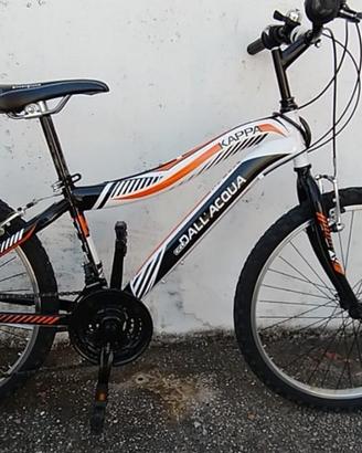 bicicletta ragazzo 