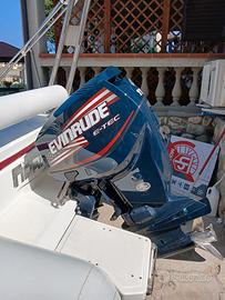 evinrude e tec 115 cv
