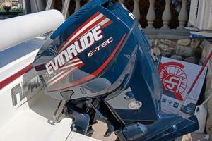evinrude e tec 115 cv