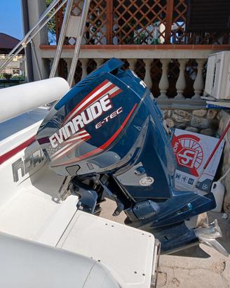 evinrude e tec 115 cv