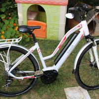 E-Bike trekking unisex