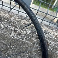 Cerchi originali Trek