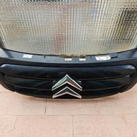Mascherina citroen c3 nera