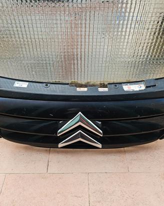 Mascherina citroen c3 nera