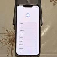 iPhone 13 Pro Max – 256GB – Batteria NUOVA 100%