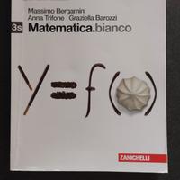 Libro Matematica Zanichelli