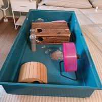 Gabbia criceto 100x50 + accessori