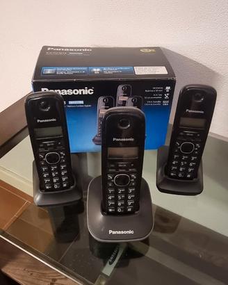 Telefono cordless Panasonic KX-TG1613 DECT