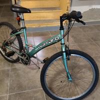 Bici raggio 24"
