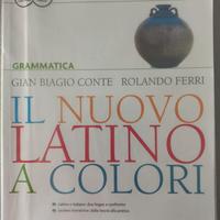 Il nuovo latino a colori - Grammatica