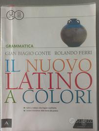 Il nuovo latino a colori - Grammatica