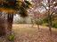 Immagine 27