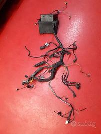 IMPIANTO ELETTRICO BMW R1150GS 2001